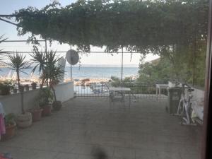 Fotografia z galérie ubytovania Apartments by the sea Podgora, Makarska - 6705 v Podgore