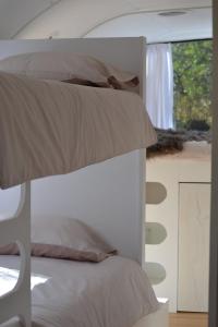 1 dormitorio con 2 literas y ventana en Algarve Olive Tree Lodge en Nora