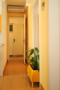 Fotografia z galérie ubytovania Apartments by the sea Podgora, Makarska - 6664 v Podgore