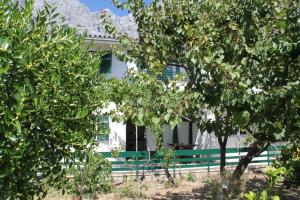 Vonkajšia záhrada v ubytovaní Apartments with parking spaces Makarska - 6791