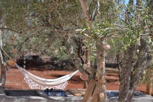 a hammock between two trees in a garden at Glamping Algarve Olive Tree Lodge in Nora