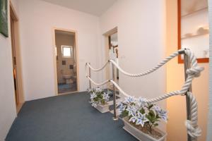 Fotografie z fotogalerie ubytování Apartments with a parking space Brela, Makarska - 6907 v destinaci Brela