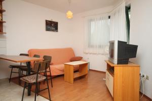 TV a/nebo společenská místnost v ubytování Apartments with a parking space Brela, Makarska - 6907