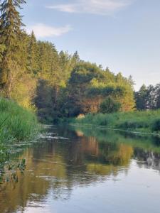 Jõevaara Veskitalu : نهر فيه اشجار عاكسه في الماء