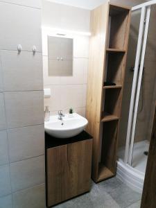 a bathroom with a sink and a shower at Apartmány Plzeň Zábělá 69 in Pilsen