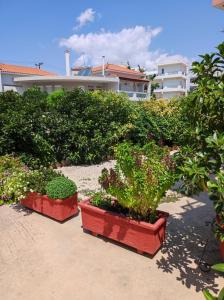 trzy rośliny w czerwonych garnkach przed budynkiem w obiekcie PHOENIX apartment near the airport w mieście Markopoulo Mesogaias