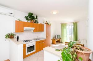 una cocina con armarios de madera y plantas. en Apartments by the sea Cove Saplunara, Mljet - 4901, en Saplunara