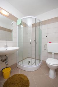 a bathroom with a shower and a toilet and a sink at Holiday house with a parking space Sali, Dugi otok - 8138 in Sali