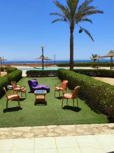 un groupe de chaises sur une pelouse avec un palmier dans l'établissement Cheerful Villa - Romance Resort, à Ain Sokhna