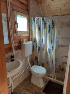 a bathroom with a toilet and a sink at Markove kolibe 4, Uvac in Sjenica