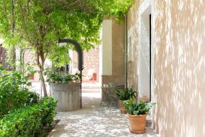 une cour avec des plantes en pot dans un bâtiment dans l'établissement Ca'n Puig de Sòller, à Sóller