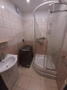 uma casa de banho com um chuveiro, um WC e um lavatório. em Čertovy proudy em Loučovice