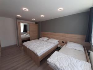 um quarto com 2 camas e um espelho em Čertovy proudy em Loučovice