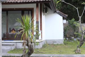Zahrada ubytování COCONUT BEACH BUNGALOWs & WARUNG 2