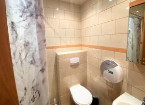 La salle de bains est pourvue de toilettes et d'un rideau de douche. dans l'établissement Day Dream Vesturgata 17 Reykjavik, à Reykjavik