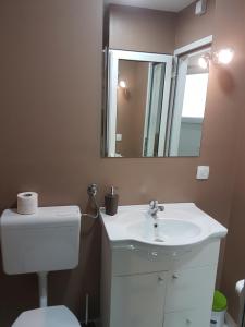 a bathroom with a sink and a toilet and a mirror at Apple Line Appartments in Mostar