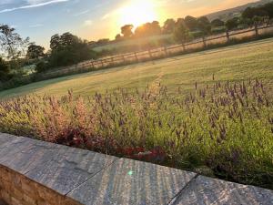 un campo de hierba con la puesta de sol en el fondo en Harrogate Barns en Harrogate