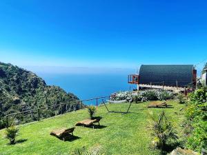 a group of chairs sitting on top of a grass field at The tiny black bird in Fajã da Ovelha