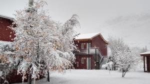 un árbol cubierto de nieve frente a una casa en Anita´s House en El Chaltén