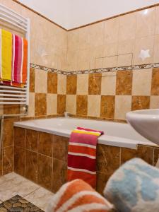 a bathroom with a tub and a sink at Apartmán U AKVARISTY in Černá v Pošumaví