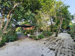 un jardin avec des arbres et une promenade dans l'établissement Baan Thabthong Homestay (บ้านทับทอง โฮมสเตย์), à Ban Pak Nam