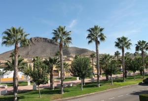 マサロンにあるVilla Caprichoの山手の椰子の道