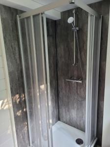 a shower with a glass door in a bathroom at Lütje Nüst in Rechtsupweg