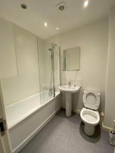 a bathroom with a toilet and a sink and a shower at Kingfisher House in Mexborough