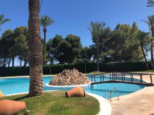 una piscina con una palmera y una fuente en Cullera - Apartamento con piscina, tenis y club social, en Cullera