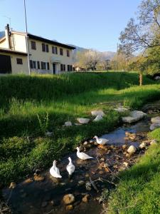 Příroda nedaleko bed and breakfast