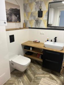 a bathroom with a toilet and a sink at Uroczy apartament z ogrodem in Rumia