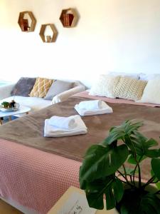 a room with a bed with two towels and a plant at Chez Romy - studio équipé avec wifi - proche plage Deauville in Tourgeville