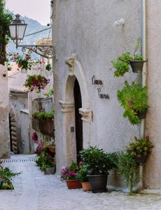 eine Gasse mit Topfpflanzen an der Seite eines Gebäudes in der Unterkunft Dimora Cavour in Amantea