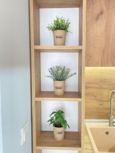trois plantes assises sur des étagères dans une armoire de cuisine dans l'établissement Apartment Avia Forest, à Stara Zagora