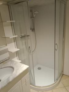 La salle de bains est pourvue d'une douche et d'un lavabo. dans l'établissement Terrace Flat Near The City Centre, à Brives-Charensac