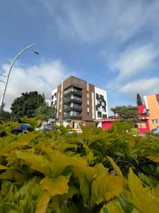 un edificio detrás de un arbusto con un edificio en el fondo en Zen Suites by Regente, en Oaxaca City