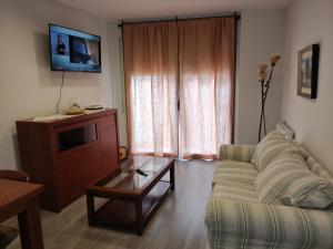 a living room with a couch and a tv at La LLana Nova in Ribes de Freser