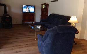 a living room with a blue couch and a tv at Schmugglerhaus 