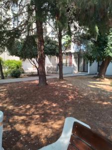 Um jardim no exterior de Dominik