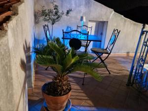 ein Esszimmer mit einem Tisch und einer Topfpflanze in der Unterkunft RARE Soggiorno Elegante in Vibonati