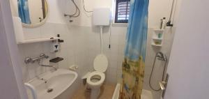 Kúpeľňa v ubytovaní Apartmani Marijan Zavala-istok