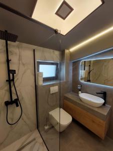 La salle de bains est pourvue de toilettes, d'un lavabo et d'une douche. dans l'établissement Lovely Apartment Ioana, à Tîrgu Neamţ