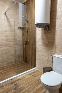 een badkamer met een douche, een toilet en een glazen douchecabine bij Apartment ARIA in Velingrad