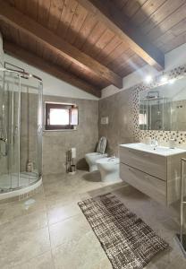 ein Bad mit einem Waschbecken, einer Dusche und einem WC in der Unterkunft Malies B&B in Benevento