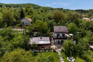 an aerial view of a house in the woods at Vila Rustic INN Bucegi in Pietroşiţa