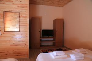 1 dormitorio con 1 cama y TV en Olympos Robina Bungalov, en Olympos