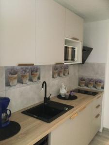 Kuchyňa alebo kuchynka v ubytovaní Ferienwohnung Avila , Stadtmitte Karpacz