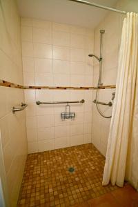 a bathroom with a shower with a shower curtain at Ferienwohnung Möller - a64524 