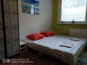 een slaapkamer met een bed met rode kussens en een raam bij Apartmán s vířivkou a infrasaunou v Olomouci in Olomouc