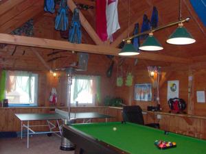 a billiard room with a green pool table and lights at Krajno Paradise in Krajno Pierwsze
